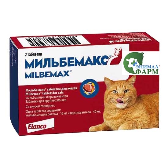 Фото мильбемакс для котят