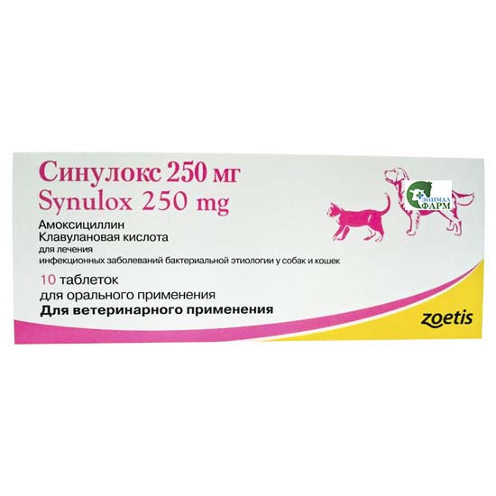 Купить синулокс 50 для кошек. Zoetis синулокс 50мг, 10таб. Синулокс для кошек таблетки 250 мг. Синулокс 500 мг для собак уколы. Синулокс 50 мл.