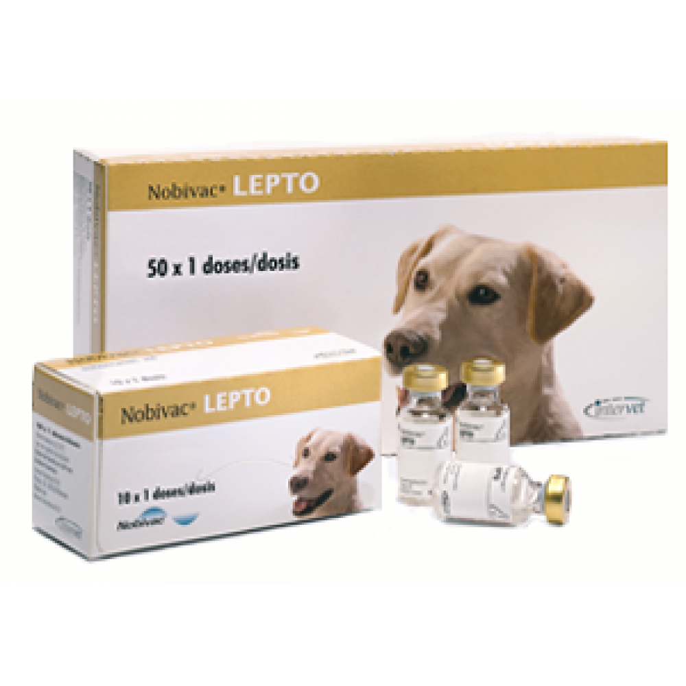 Вакцина Нобивак Lepto против лептоспироза 1 доза (Срок годности до 01. .