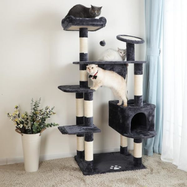 Когтеточки